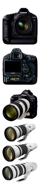 Canon Cameras.png